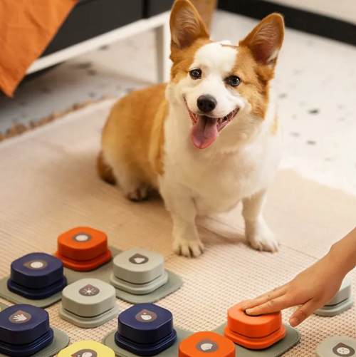 Voice Recording Button, Dog Buttons for Communication Pet Training